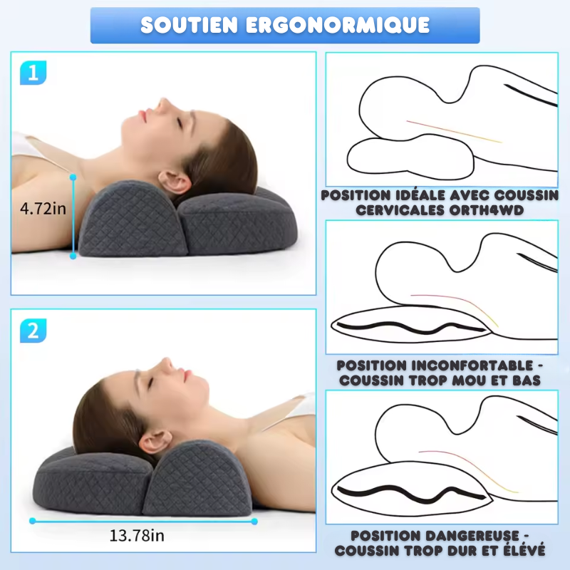 Coussin Cervicales Orth4WD Ergonomique à Mémoire de Forme