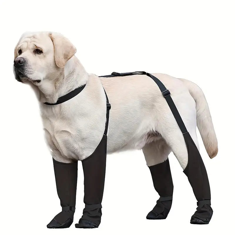 Harnais Bottes Imperméables pour Chien