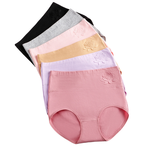 Lot de 4 culottes taille haute en coton