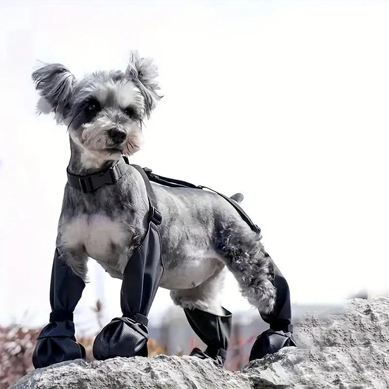 Harnais Bottes Imperméables pour Chien